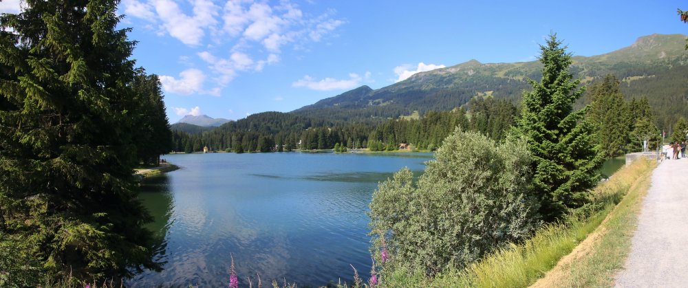 Berge Und P Sse Der Alpen